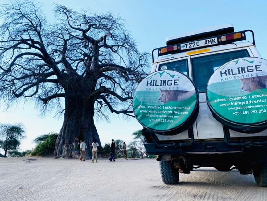 1-Day Ngorongoro Crater Special Big 5- Joining Group Safari - Reaching the crater rim and looking down