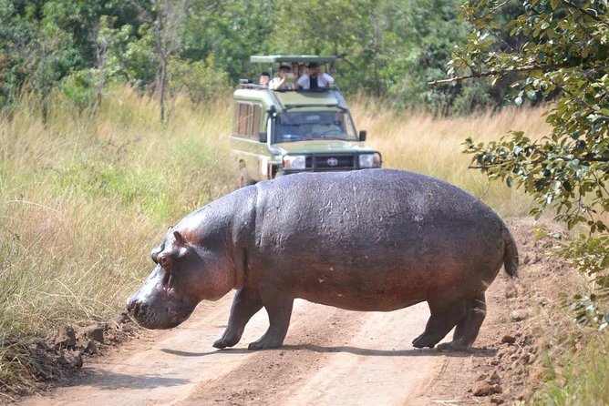 1 Day Safari to Akagera national park-Big5 Safari - Leaving Kigali at 5:00 am