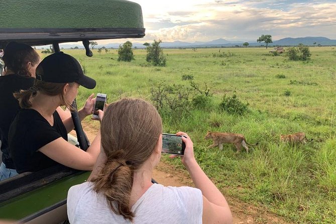 1 Day Safari to Mikumi National Park - Why Mikumi works for a short Tanzania visit