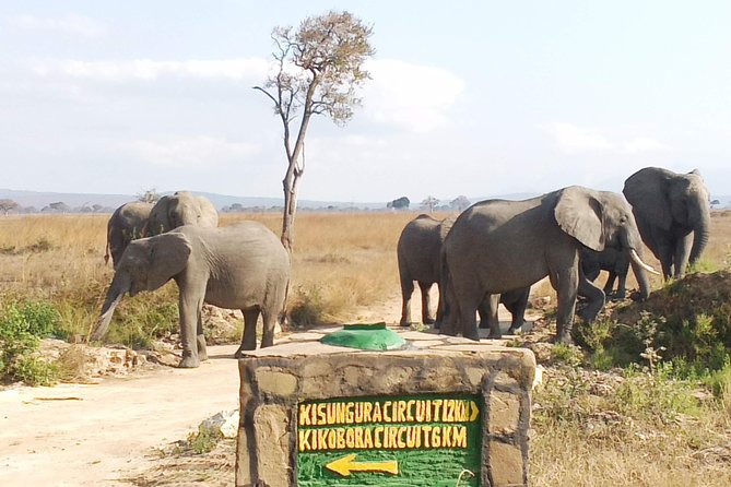 1 Day Safari to Mikumi National Park - Breakfast first, then the park gates