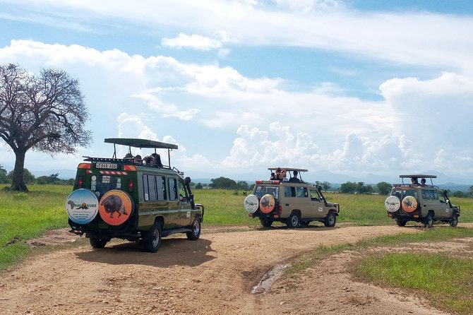 1 Day Safari to Mikumi National Park - What $470 per person really buys you