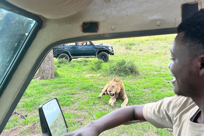 1. Day safaris to Mikumi by Train from dar es salaam - Key points to know before you book