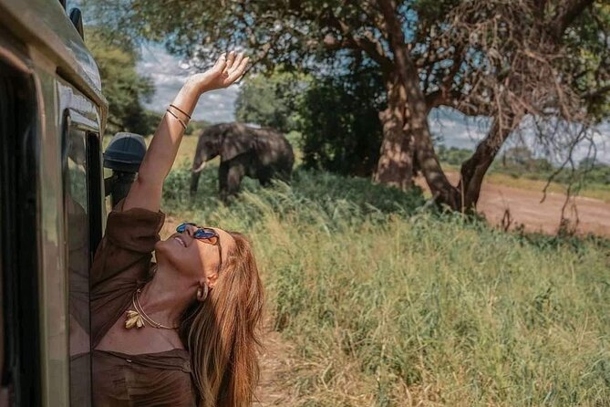 1. Day safaris to Mikumi by Train from dar es salaam - Why this Dar es Salaam safari works