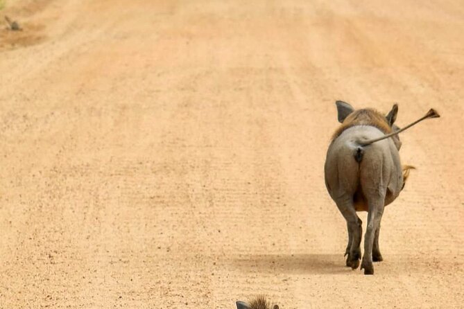 1. Day safaris to Mikumi by Train from dar es salaam - Reaching Mikumi for the late-morning game drive
