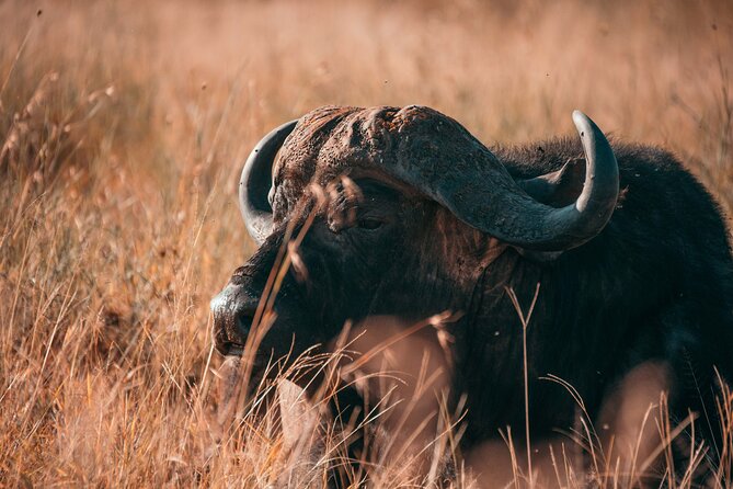 1-Day Selous (Nyerere National Park) Fly-In Safari from Zanzibar - Why flying from Zanzibar makes sense