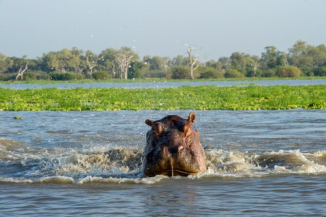 1-Day Selous (Nyerere National Park) Fly-In Safari from Zanzibar - How the 10-hour schedule feels in practice