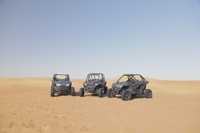 1 seater Dune Buggy Safari / In Morning - What this morning desert safari actually offers