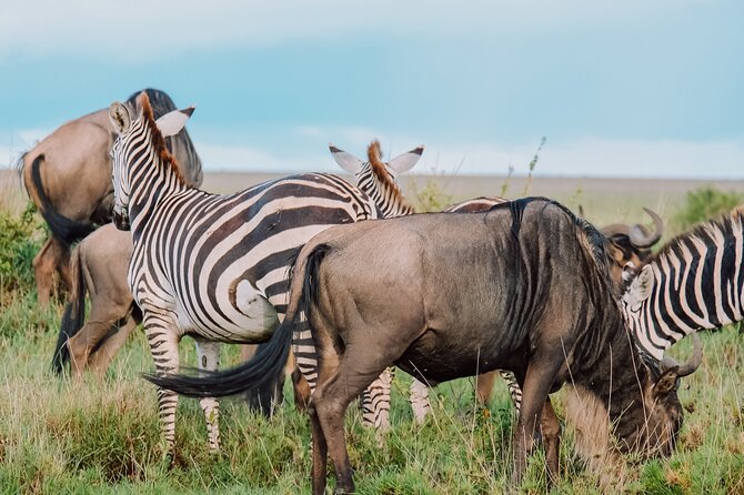 10-Day Serengeti Wildebeest Migration Safari from Arusha - Why this safari is built around the migration