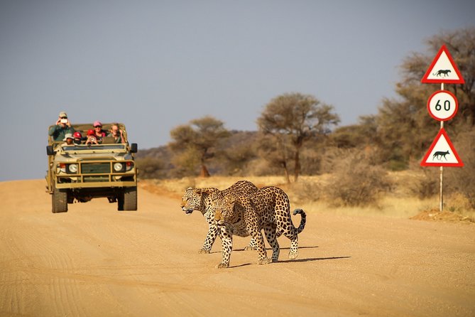 12 Day Classic Namibia Camping Safari - What the $3,071.21 price buys you