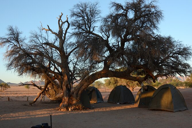 12 Day Classic Namibia Camping Safari - Days 7 and 8: Kuiseb Pass, Dune 45, and Dead Vlei