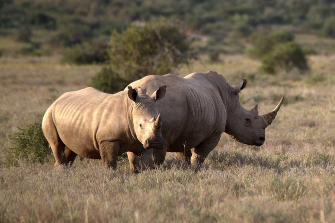 13 Day Safari - Cape Town to Johannesburg - What this South Africa route does well