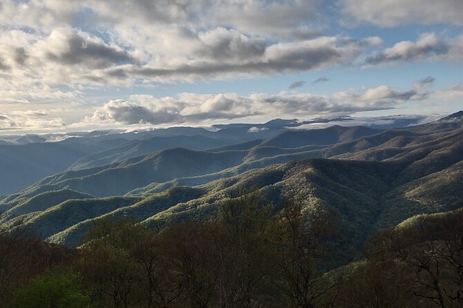 2.5-3 hour Smoky Mountain Cherokee Blue Ridge Parkway Safari tour - Waterfalls, fresh mountain water, and unhurried stops