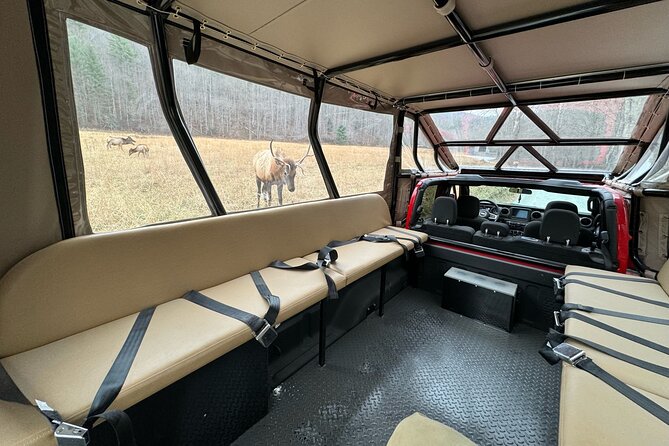 2.5-3 hour Smoky Mountain Cherokee Blue Ridge Parkway Safari tour - Wildlife chances without a wildlife guarantee