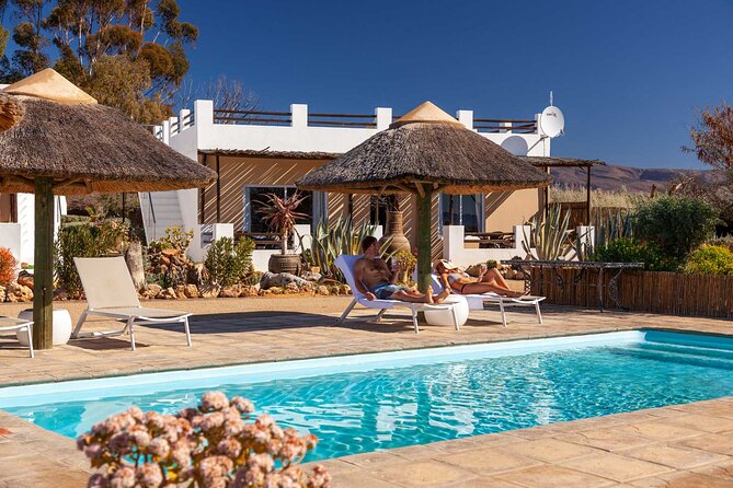 2 Day Inverdoorn Luxury Safari - The last morning and return to Cape Town