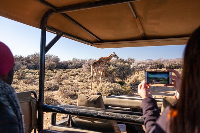 2 Day Inverdoorn Luxury Safari - The road from Cape Town through Ceres