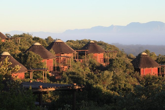 2 Day Safari Experience from Cape Town - Cape Agulhas and the Meeting of Two Oceans