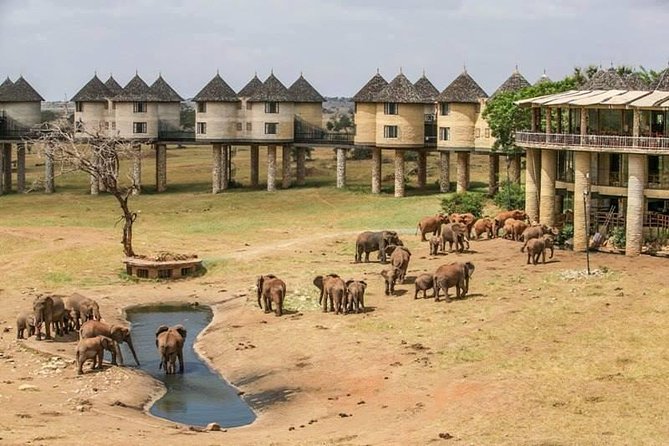 2-Day Safari in Taita Hills from Mombasa - The early road from Mombasa to Voi