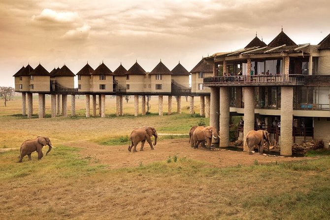 2-Day Safari in Taita Hills from Mombasa - The afternoon and dusk game drive