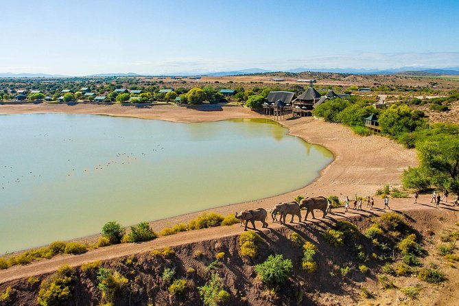 2 Day South African Wildlife Tour with 4x4 Safari from Cape Town - The big tradeoff: two days, 900 kilometers, and plenty to see