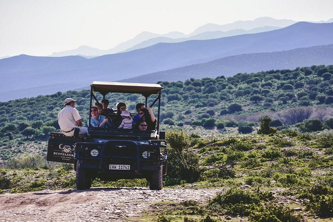 2 Day South African Wildlife Tour with 4x4 Safari from Cape Town - Route 62 makes the long return worthwhile