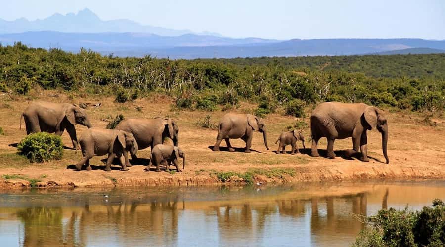 2-Day Tsavo East National Park Safari (with options) - Lunch and the lodge check-in