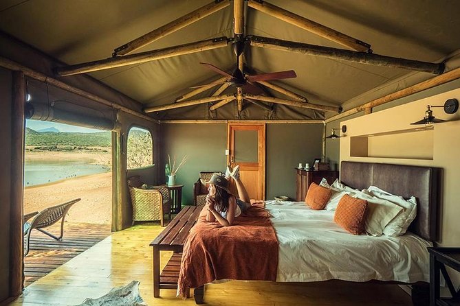 2 Day Wild Heart Western Cape Safari Tour with Private Transfers - Oudtshoorn and the Klein Karoo night