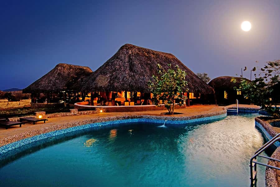 2 Days 1 Night Amboseli Safari - Key points to know before booking