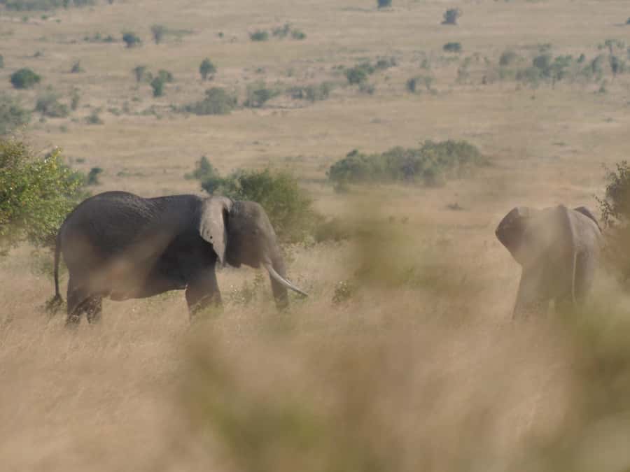 2 Days 1 Night Amboseli Safari - Sunset over the park and the first night