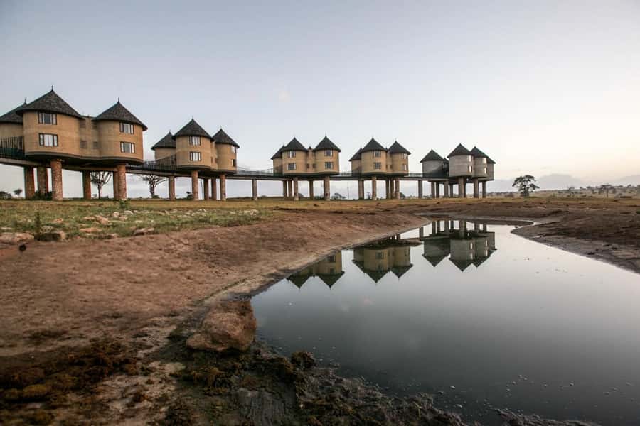 2 days 1 night saltlick safari from Diani/Mombasa - Why Salt Lick Safari works as a short coastal escape
