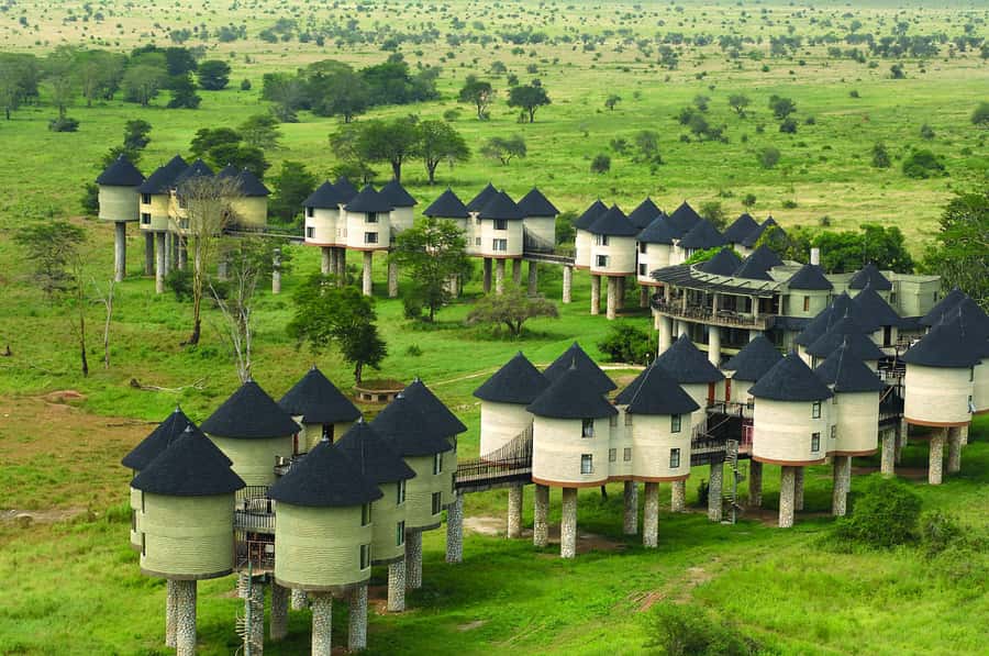 2 days 1 night saltlick safari from Diani/Mombasa - Salt Lick Lodge and its water-hole view
