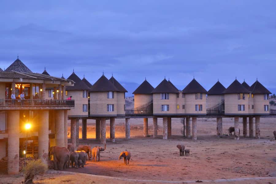 2 days 1 night saltlick safari from Diani/Mombasa - What the $650 price really includes