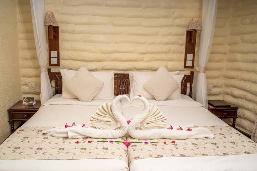 2 days 1 night saltlick safari from Diani/Mombasa - The guide can shape the whole trip