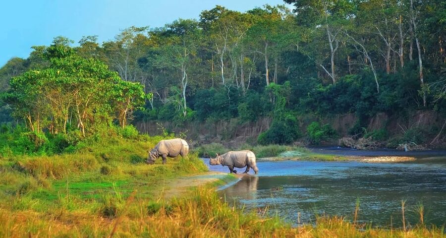 2 Days Chitwan Jungle Safari Tour from Pokhara/Kathmandu - Why this short Chitwan trip works