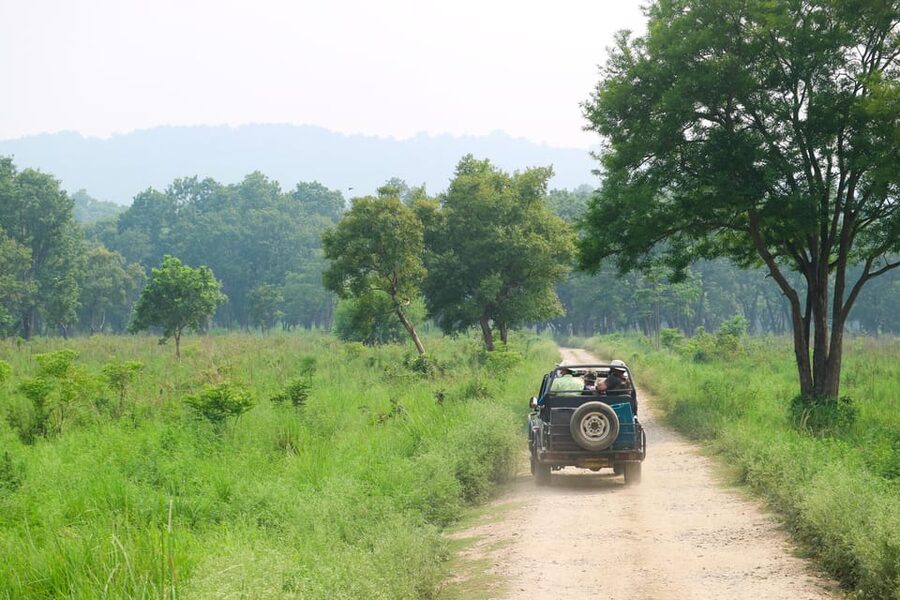 2 Days Chitwan Jungle Safari Tour from Pokhara/Kathmandu - Tharu village and evening dance performance