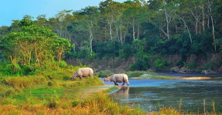 2 Days Chitwan Jungle Safari Tour from Pokhara/Kathmandu - The 6:00 AM pickup from Kathmandu or Pokhara