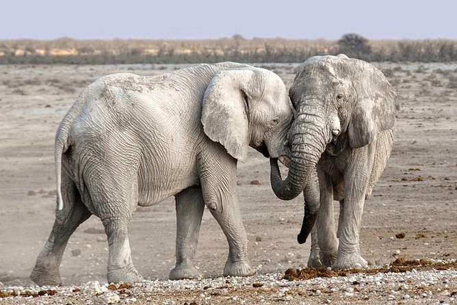 2 Days Group Joining Camping Safari Tarangire Park and Ngorongoro Crater - Why this short safari works