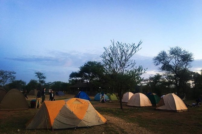 2 days Mid Range Safari in Ngorongoro and Tarangire Big 5 Parks - Ngorongoro Crater: A Compact Wildlife Day