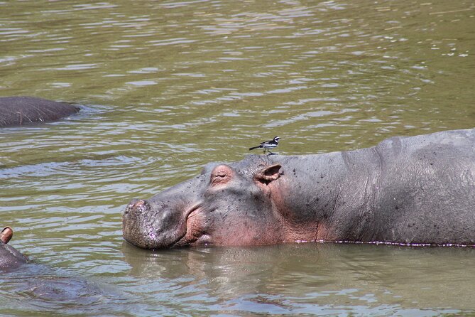 2 days private lodge safari - Is $1,600 good value?