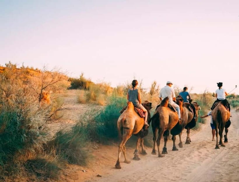 2 Days Private Safari Tour from Bukhara - The yurt camp: music, camels, and a star-filled evening