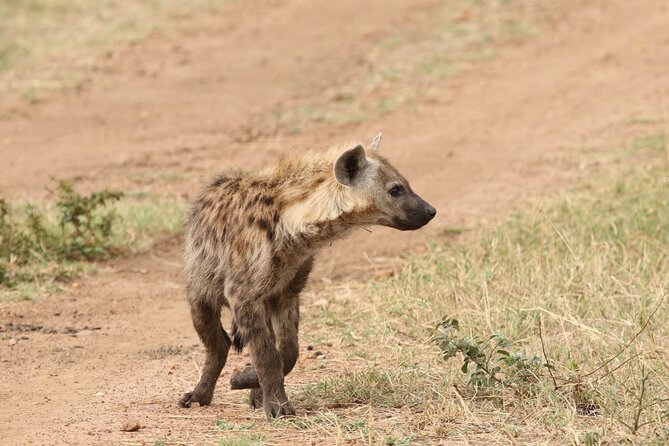 2 Days Tarangire and Ngorongoro Group Camping Safari - Day one: six hours among Tarangire’s elephants