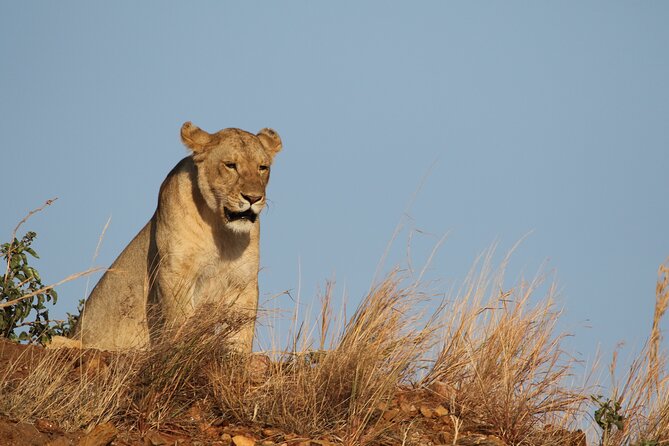 2 Days Tarangire and Ngorongoro Group Camping Safari - Pickup, timing, and practical planning