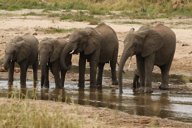 2 Days Tarangire and Ngorongoro Mid-Range Group Safari - Practical details before you book