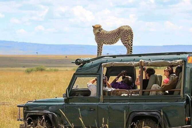 2 days Tarangire and Ngorongoro short safari - Key points to know before booking