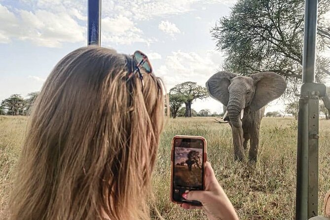 2 days Tarangire and Ngorongoro short safari - Why this two-day route works