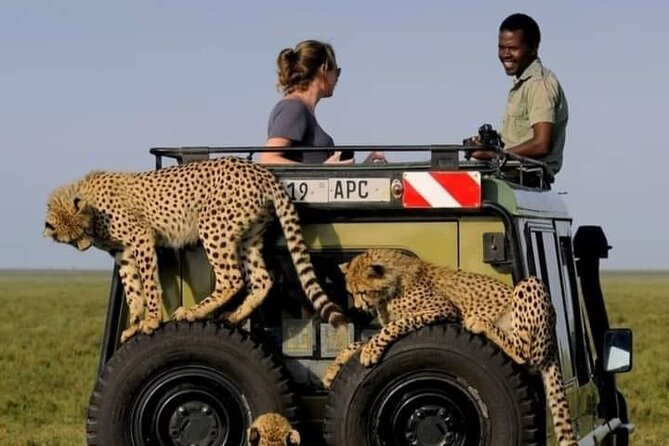 2 days Tarangire and Ngorongoro short safari - Wildlife expectations in the crater