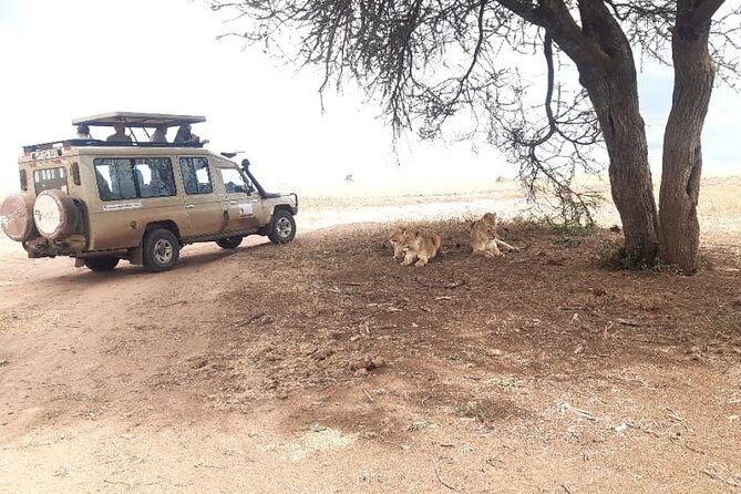 2 Days Tarangire & Ngorongoro Budget Safari Tour Tanzania - Who will enjoy this safari most