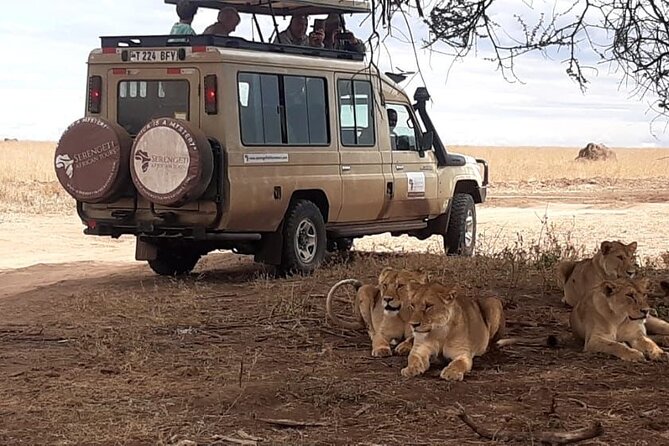 2 Days Tarangire & Ngorongoro Budget Safari Tour Tanzania - Should you book the two-day Tarangire and Ngorongoro safari?