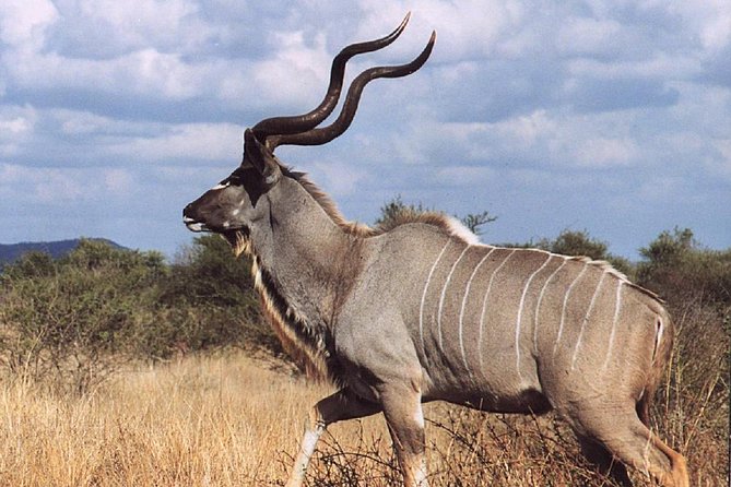 2 Days Wildlife Safari to Awash National Park - Why Awash works as a short safari from Addis Ababa