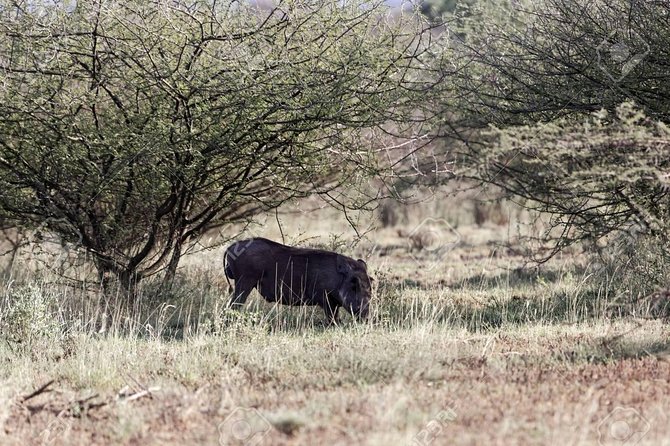 2 Days Wildlife Safari to Awash National Park - The early road from Addis through the Rift Valley