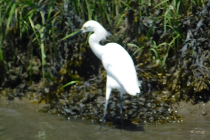 2-Hour Sunset Safari Eco Cruise on the Osprey from Cape May - Comfort tips that make a difference
